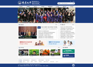 網絡營銷與網絡軟件開發(fā) 數字化時代的雙輪驅動
